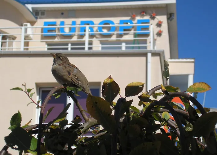 Guest house Europe Narva